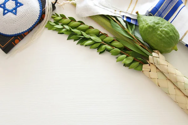 Joodse feest van Soekot. Traditionele symbolen (de vier soorten): Etrog, lulav, hadas, arava — Stockfoto