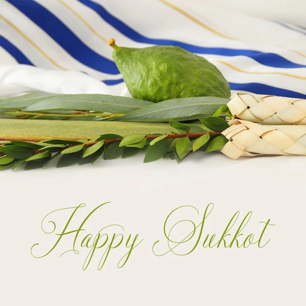 Sukkot Yahudi bayramı. Geleneksel Semboller (dört tür): Etrog, lulav, hadas, arava — Stok fotoğraf