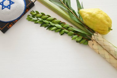 Sukkot Yahudi bayramı. Geleneksel Semboller (dört tür): Etrog, lulav, hadas, arava