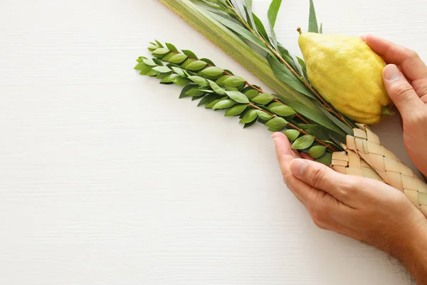 Sukkot Yahudi bayramı. Geleneksel Semboller (dört tür): Etrog, lulav, hadas, arava — Stok fotoğraf