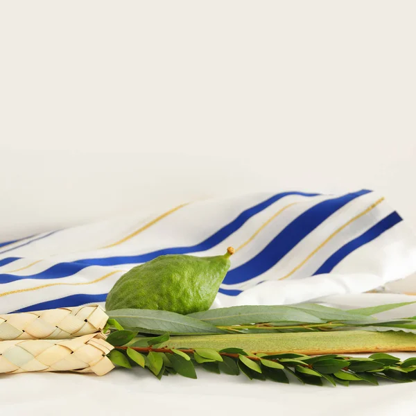 Judisk festival av Sukkot. Traditionella symboler (de fyra arterna): Etrog, lulav, hadas, arava — Stockfoto