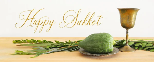 Judisk festival av Sukkot. Traditionella symboler (de fyra arterna): Etrog, lulav, hadas, arava — Stockfoto