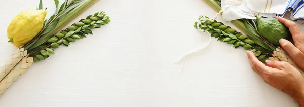 Sukkot Yahudi bayramı. Geleneksel Semboller (dört tür): Etrog, lulav, hadas, arava — Stok fotoğraf