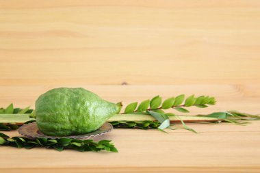 Sukkot Yahudi bayramı. Geleneksel Semboller (dört tür): Etrog, lulav, hadas, arava