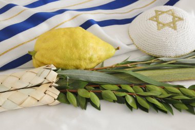 Sukkot Yahudi bayramı. Geleneksel Semboller (dört tür): Etrog, lulav, hadas, arava