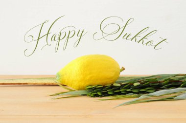 Sukkot Yahudi bayramı. Geleneksel Semboller (dört tür): Etrog, lulav, hadas, arava