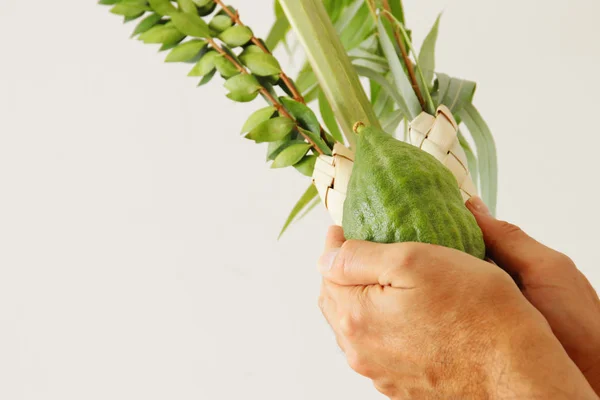 Židovský festival Sukkot. Židovský muž držící tradiční symboly (čtyři druhy): Etrog, Lulav, Hadas, Arava — Stock fotografie