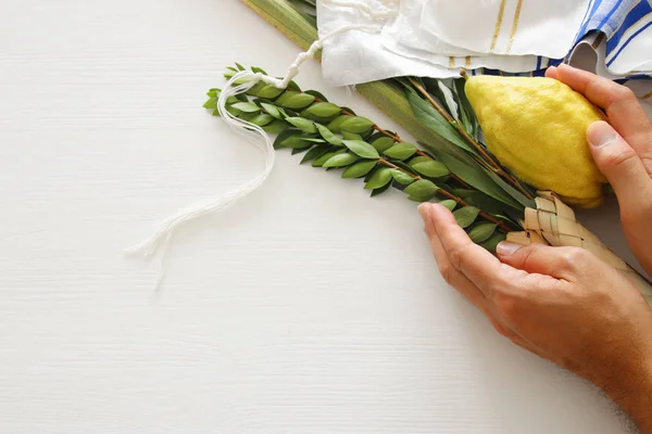 Festival judío de Sukkot. Símbolos tradicionales (Las cuatro especies): Etrog, lulav, hadas, arava — Foto de Stock