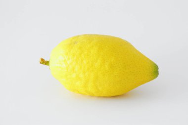 Sukkot Yahudi festivali din görüntüsü. Geleneksel sembol dört tür: citron (Etrog). beyaz arka plan
