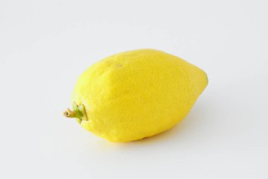Sukkot Yahudi festivali din görüntüsü. Geleneksel sembol dört tür: citron (Etrog). beyaz arka plan