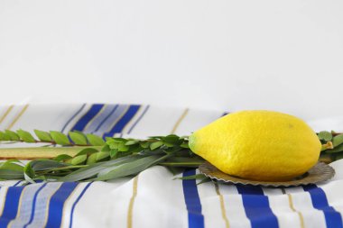 Sukkot Yahudi bayramı. Geleneksel Semboller (dört tür): Etrog, lulav, hadas, arava