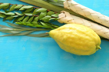 Sukkot Yahudi festivali din görüntüsü. Geleneksel semboller (Dört tür): Etrog, lulav, hadas, arava