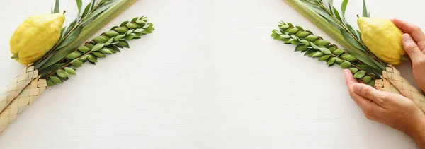 Sukkot Yahudi bayramı. Geleneksel Semboller (dört tür): Etrog, lulav, hadas, arava — Stok fotoğraf