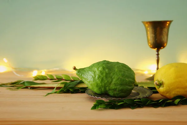 Sukkot Yahudi bayramı. Geleneksel Semboller (dört tür): Etrog, lulav, hadas, arava — Stok fotoğraf