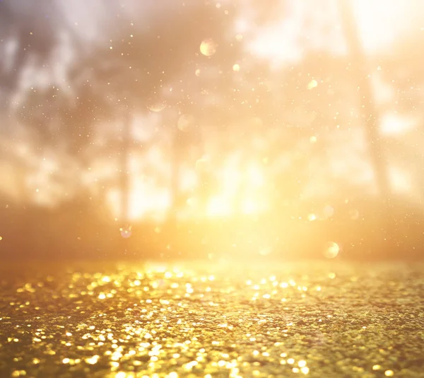 Abstract background of light burst among trees and glitter golden bokeh lights — Stock Photo, Image