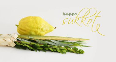 Sukkot Yahudi festivali din görüntüsü. Geleneksel semboller (Dört tür): Etrog, lulav, hadas, arava. beyaz arka plan