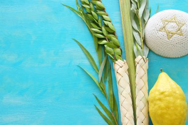Sukkot Yahudi festivali din görüntüsü. Geleneksel semboller (Dört tür): Etrog, lulav, hadas, arava