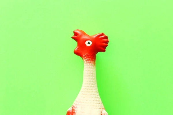 Fondo divertido de juguete de pollo de goma en la mesa de pastel verde — Foto de Stock
