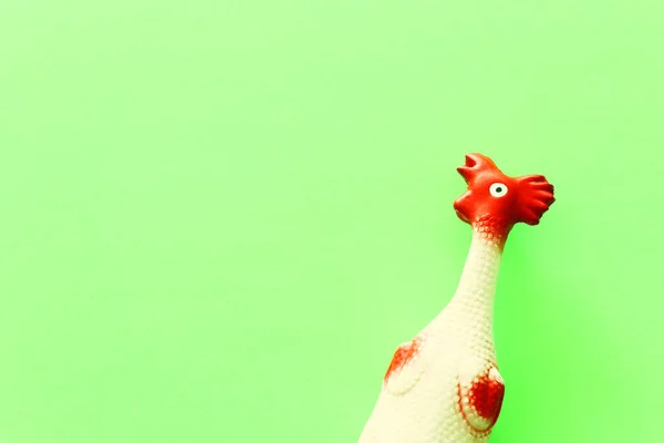 funny background of rubber chicken toy on green pastel table