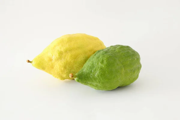 Religion image de la fête juive de Souccot. Symbole traditionnel l'une des quatre espèces : le citron (Etrog). fond blanc — Photo