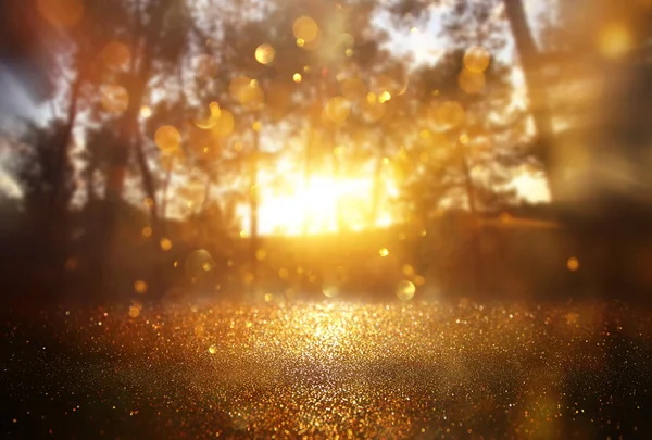 Abstract background of light burst among trees and glitter golden bokeh lights — Stock Photo, Image