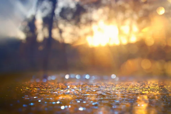 Abstracte achtergrond van licht burst tussen bomen en glitter gouden bokeh lichten — Stockfoto