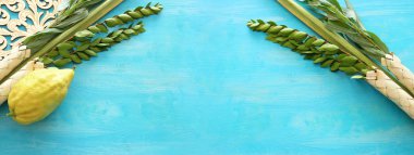 Sukkot Yahudi festivali din görüntüsü. Geleneksel semboller (Dört tür): Etrog, lulav, hadas, arava