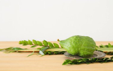 Sukkot Yahudi bayramı. Geleneksel Semboller (dört tür): Etrog, lulav, hadas, arava