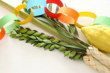 Sukkot Yahudi festivali din görüntüsü. Geleneksel semboller (Dört tür): Etrog, lulav, hadas, arava