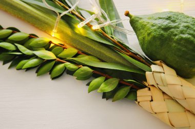 Sukkot Yahudi festivali din görüntüsü. Geleneksel semboller (Dört tür): Etrog, lulav, hadas, arava