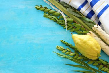 Sukkot Yahudi festivali din görüntüsü. Geleneksel semboller (Dört tür): Etrog, lulav, hadas, arava