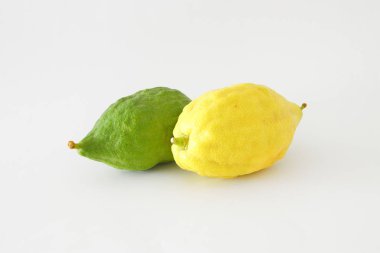 Sukkot Yahudi festivali din görüntüsü. Geleneksel sembol dört tür: citron (Etrog). beyaz arka plan