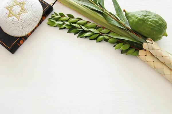 Náboženským obrazem židovského festivalu Sukkot. Tradiční symboly (čtyři druhy): Etrog, Lulav, Hadas, Arava — Stock fotografie