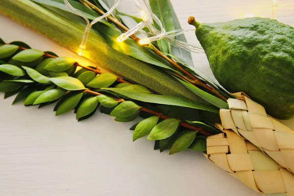 Religion image of Jewish festival of Sukkot. Traditional symbols (The four species): Etrog, lulav, hadas, arava — Stock Photo, Image