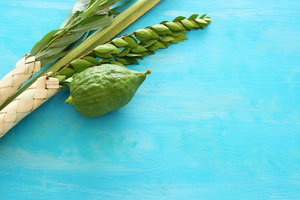 Religion image of Jewish festival of Sukkot. Traditional symbols (The four species): Etrog, lulav, hadas, arava — Stock Photo, Image