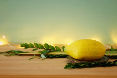 Sukkot Yahudi bayramı. Geleneksel Semboller (dört tür): Etrog, lulav, hadas, arava