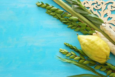Sukkot Yahudi festivali din görüntüsü. Geleneksel semboller (Dört tür): Etrog, lulav, hadas, arava