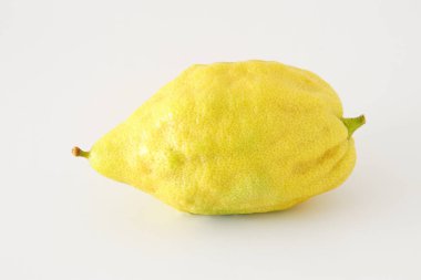 Sukkot Yahudi festivali din görüntüsü. Geleneksel sembol dört tür: citron (Etrog). beyaz arka plan