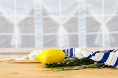 Sukkot Yahudi bayramı. Geleneksel Semboller (dört tür): Etrog, lulav, hadas, arava