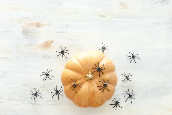 holidays Halloween image. pumpkin and spiders over wooden white table. top view, flat lay