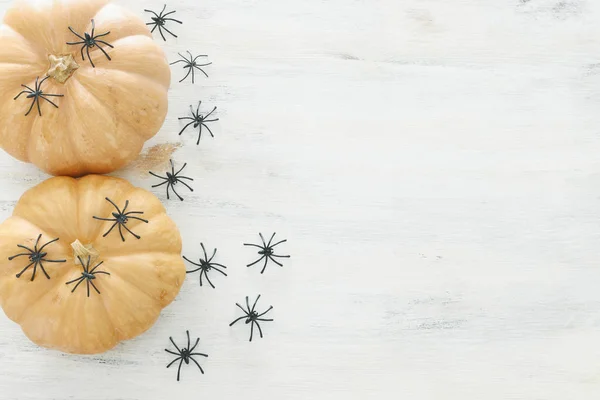 holidays Halloween image. pumpkin and spiders over wooden white table. top view, flat lay