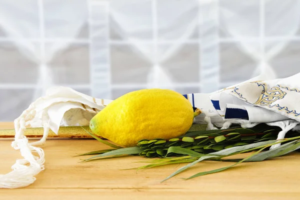 Sukkot Yahudi bayramı. Geleneksel Semboller (dört tür): Etrog, lulav, hadas, arava — Stok fotoğraf