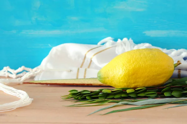 Sukkot Yahudi bayramı. Geleneksel Semboller (dört tür): Etrog, lulav, hadas, arava — Stok fotoğraf