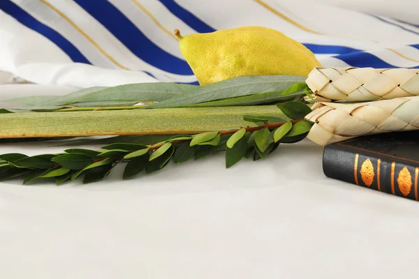 Festival judío de Sukkot. Símbolos tradicionales (Las cuatro especies): Etrog, lulav, hadas, arava —  Fotos de Stock