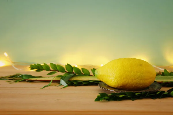 Sukkot Yahudi bayramı. Geleneksel Semboller (dört tür): Etrog, lulav, hadas, arava — Stok fotoğraf