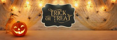 tatil cadılar bayramı konsept görüntü. Kabak, örümcekler ve ahşap masa üzerinde kuş iskeleti