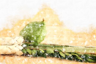 suluboya stil ve soyut resim Sukkot Yahudi festival. Geleneksel Semboller (dört tür): Etrog, lulav, hadas, arava