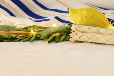 Sukkot Yahudi bayramı. Geleneksel Semboller (dört tür): Etrog, lulav, hadas, arava