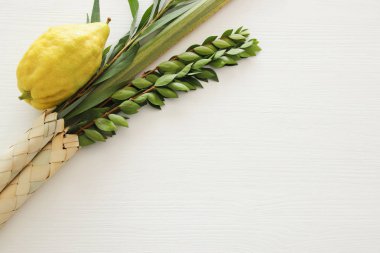Sukkot Yahudi bayramı. Geleneksel Semboller (dört tür): Etrog, lulav, hadas, arava