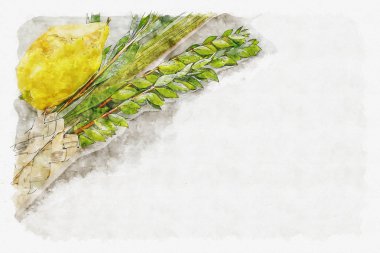 watercolor style and abstract image of Jewish festival of Sukkot. Traditional symbols (The four species): Etrog, lulav, hadas, arava clipart